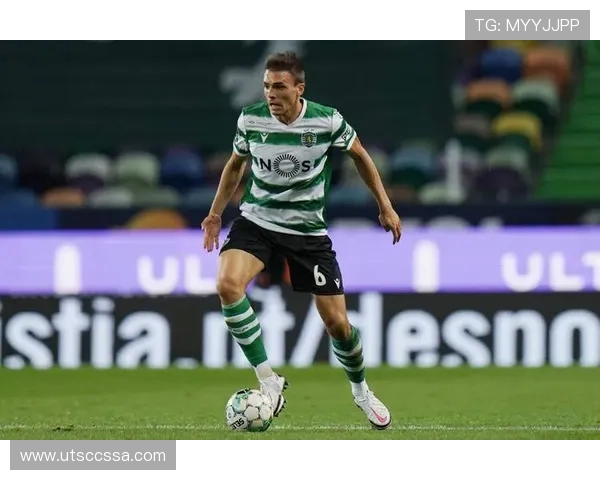 葡萄牙体育联赛冠军主力：帕利尼亚的巅峰荣誉